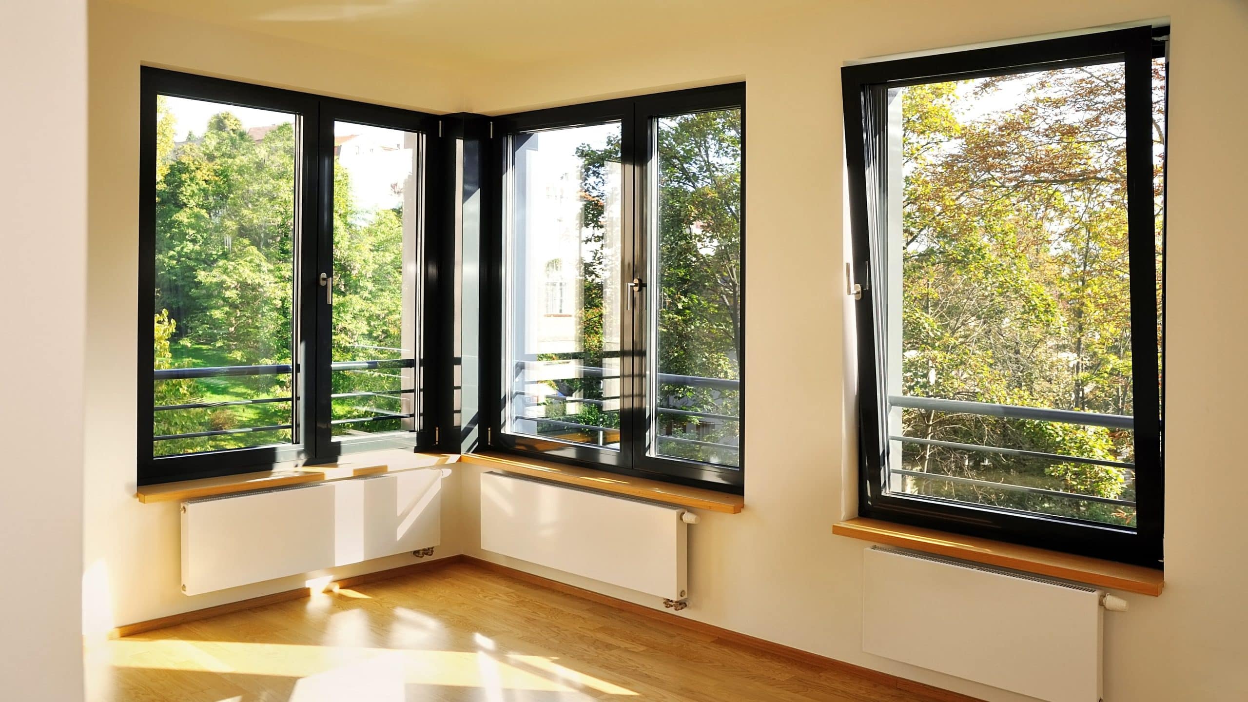 Black-Trimmed Replacement Windows In St Augustine For Jacksonville Doors & Windows