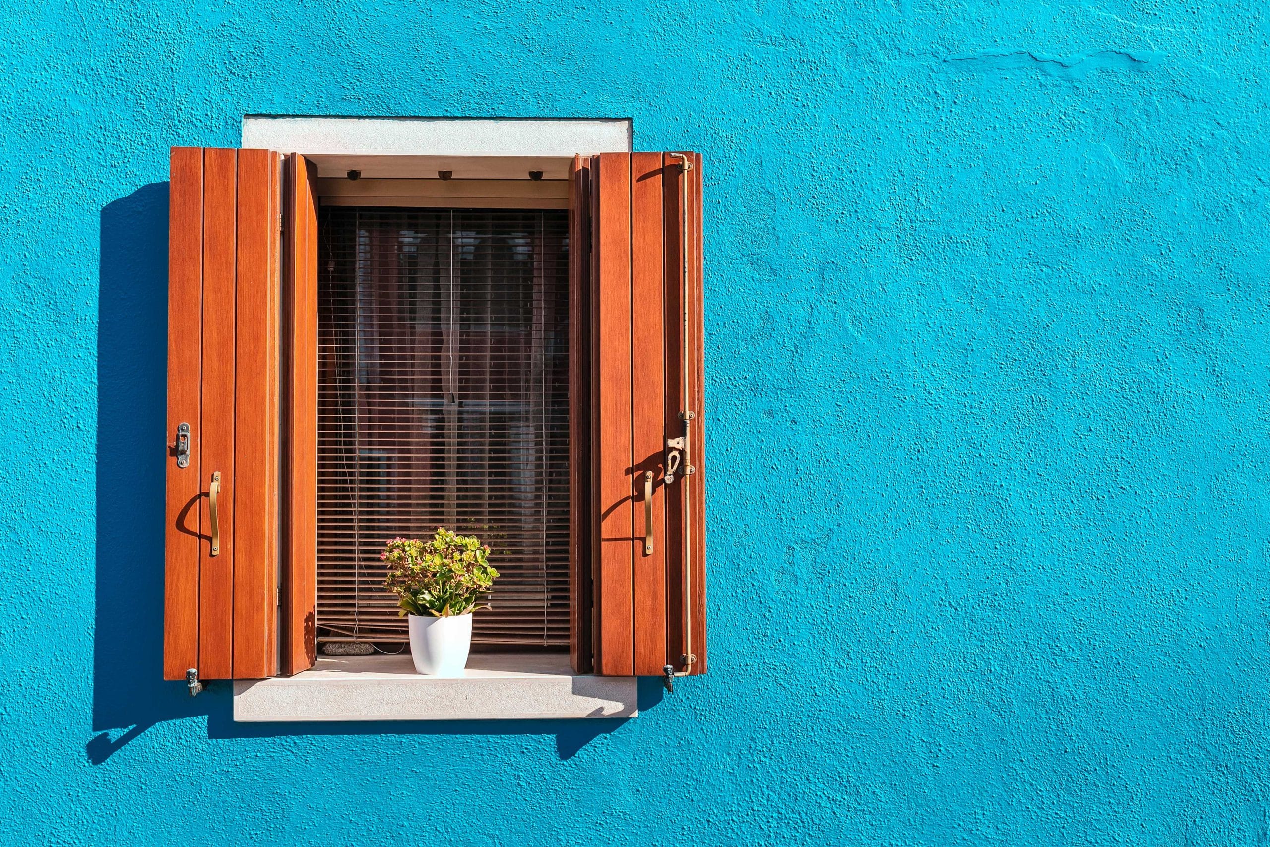 Beach window with plant blue and wood grain colors
